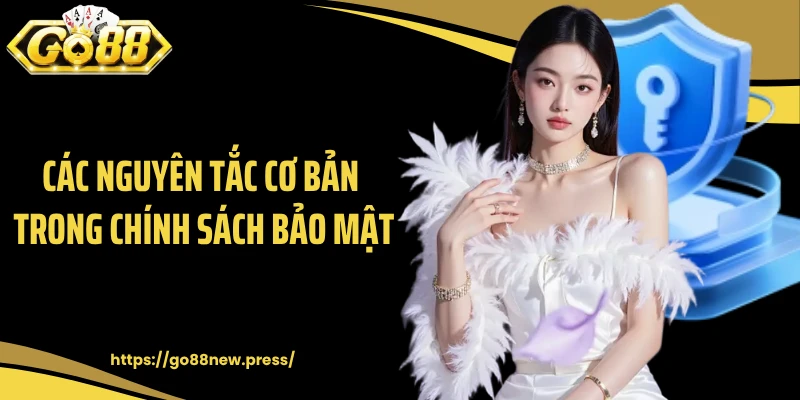 Các nguyên tắc cơ bản trong chính sách bảo mật