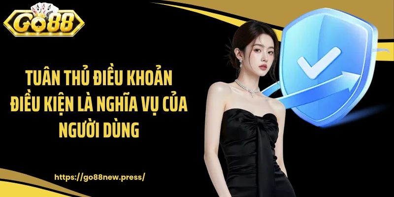 Tuân thủ điều khoản điều kiện là nghĩa vụ của người dùng